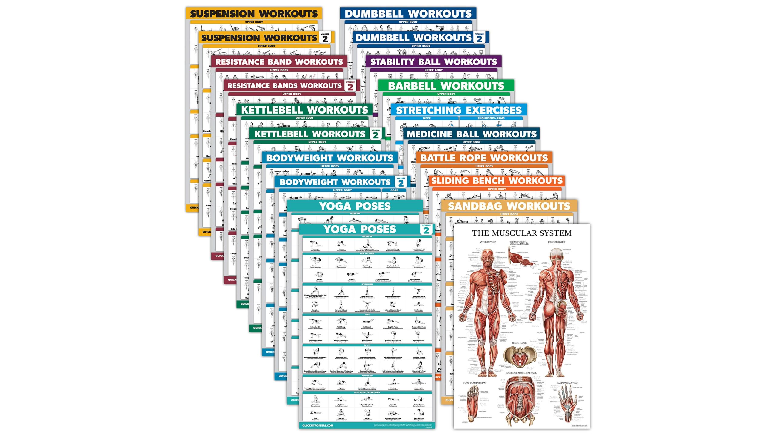 Palace Learning 20 pack exercise poster set, tutte le idee di workout a parete ora a prezzo ribassato